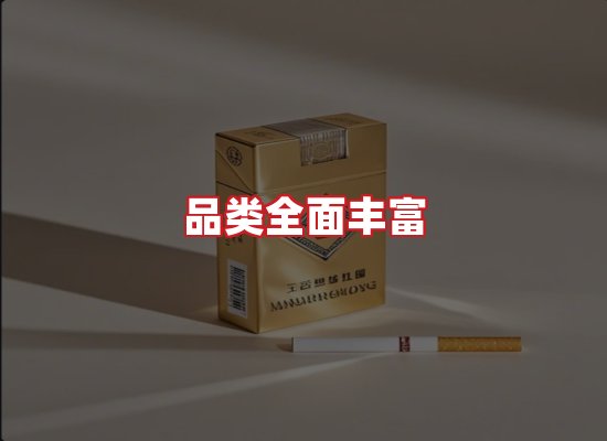 专业团队